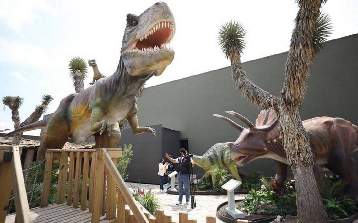 Por qué Coahuila es tierra de dinosaurios? La riqueza fósil del estado - El  Sol de la Laguna | Noticias Locales, Policiacas, sobre México, Coahuila y  el Mundo