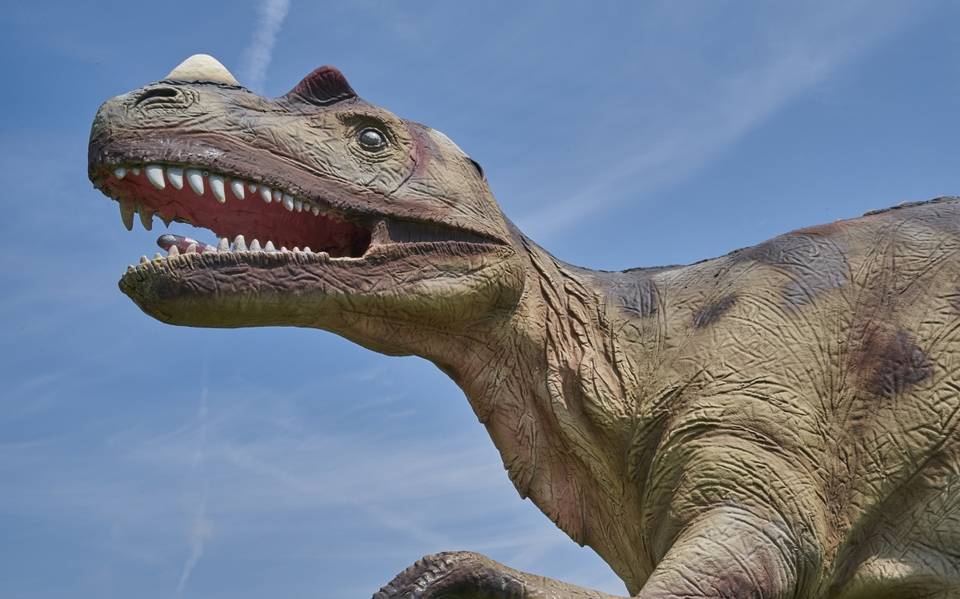 Cómo sonaría el Tiranosaurio Rex si estuviera vivo? Científicos lo recrean  - El Sol de la Laguna | Noticias Locales, Policiacas, sobre México,  Coahuila y el Mundo